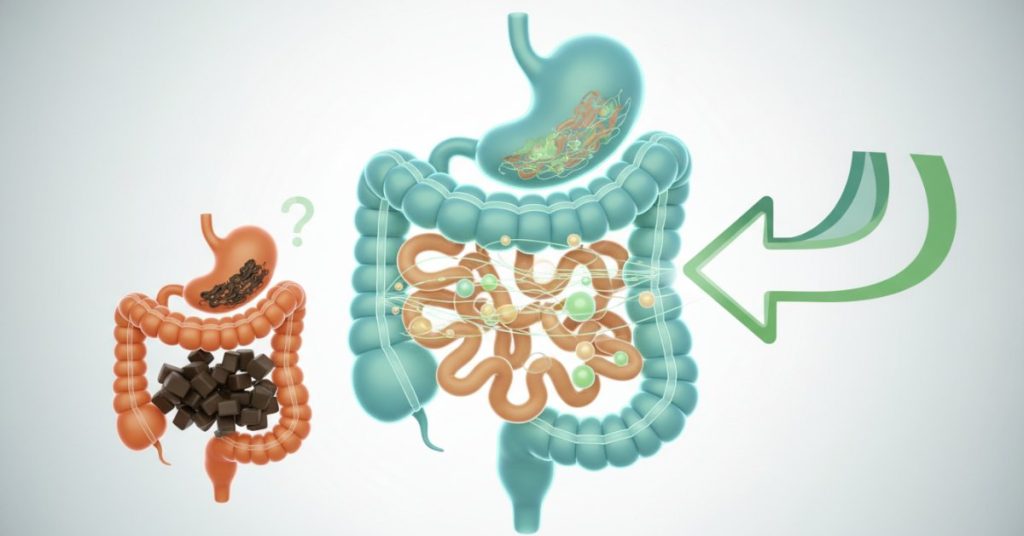 Hình ảnh mô tả một đĩa thức ăn phong phú gồm rau xanh, trái cây tươi, và các loại ngũ cốc nguyên hạt, minh họa cho tầm quan trọng của Chất xơ & hệ tiêu hóa. Bức ảnh nhấn mạnh cách các thực phẩm này hỗ trợ đường ruột khỏe mạnh và giúp cải thiện tình trạng táo bón.